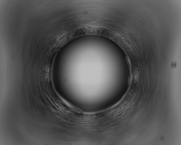 X0000100870964200806201236