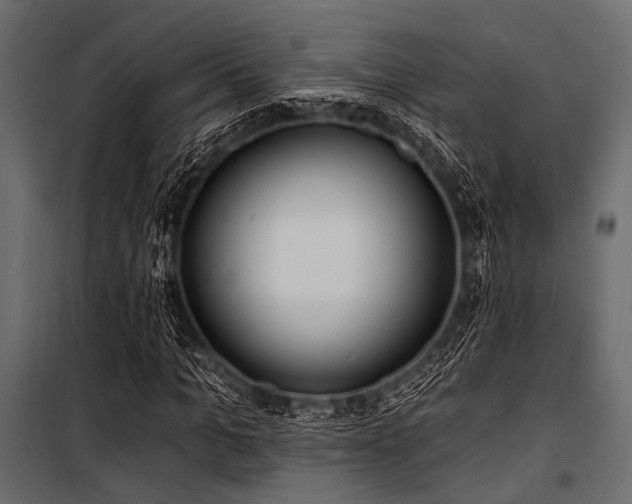X0000100870965200806201236