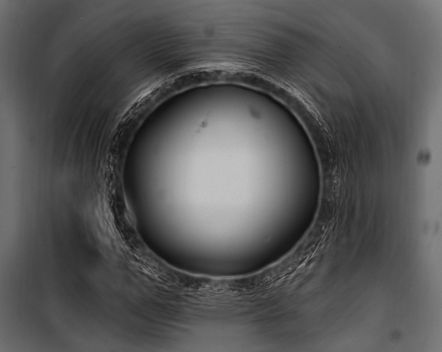 X0000100870967200806201236