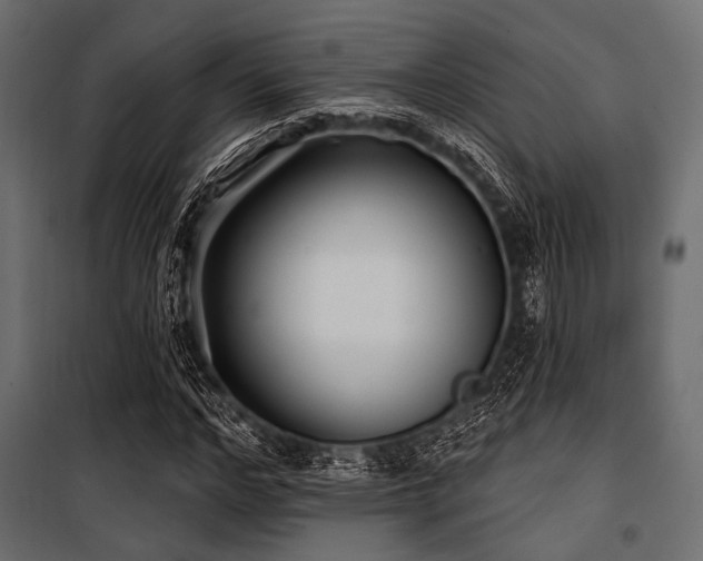X0000100870968200806201236