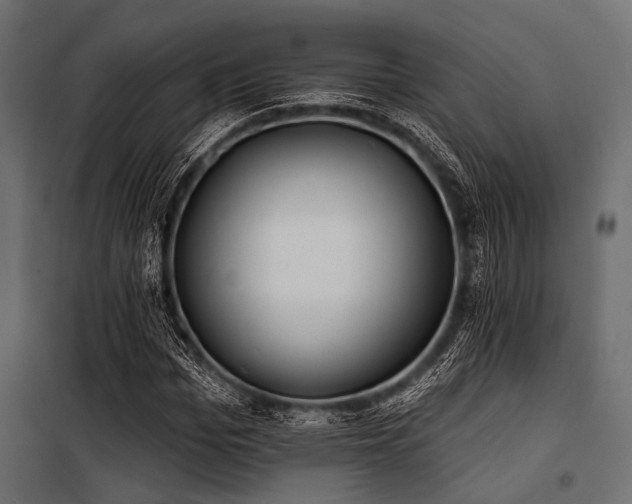 X0000100870969200806201236