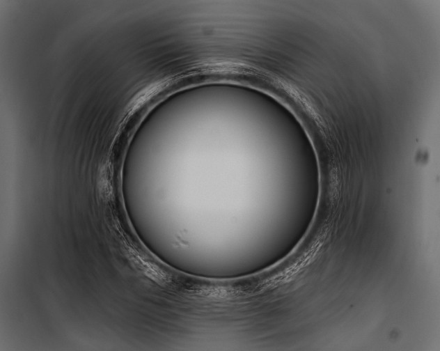 X0000100870970200806201236