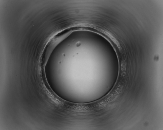 X0000100870972200806201236