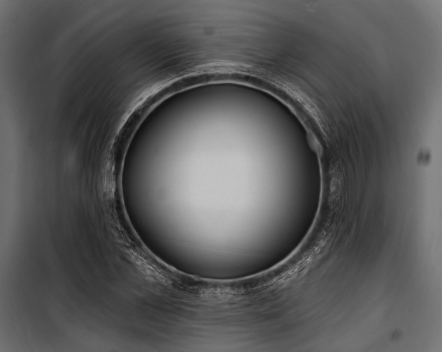 X0000100870973200806201236