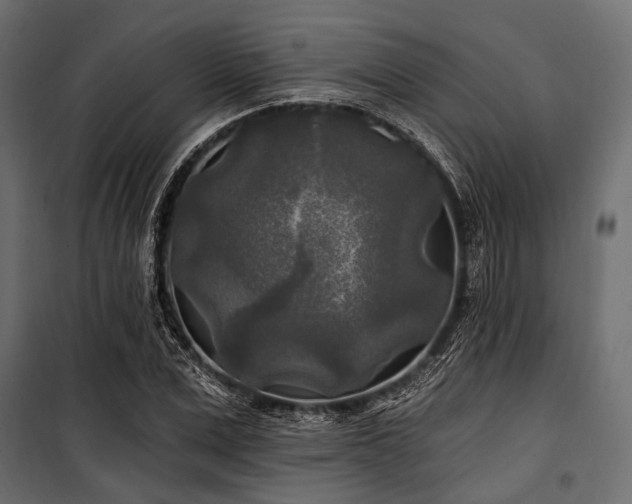 X0000100870975200806201236
