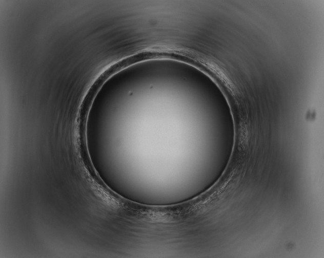 X0000100870976200806201236