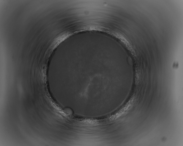 X0000100870977200806201236