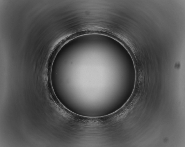 X0000100870979200806201236
