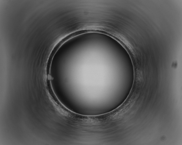 X0000100870980200806201236