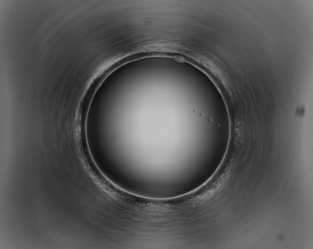 X0000100870981200806201236