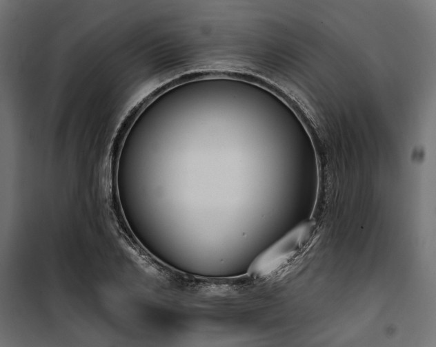 X0000100870982200806201236