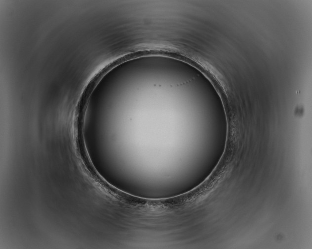 X0000100870983200806201236