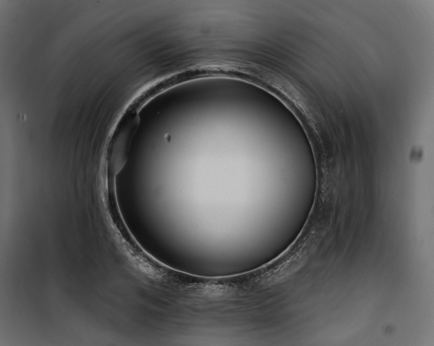 X0000100870984200806201236