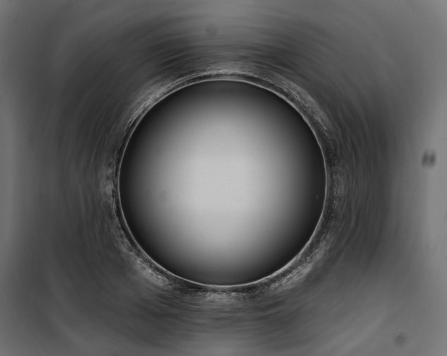 X0000100870985200806201236