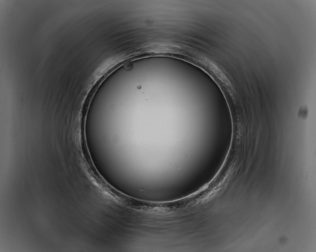 X0000100870986200806201236