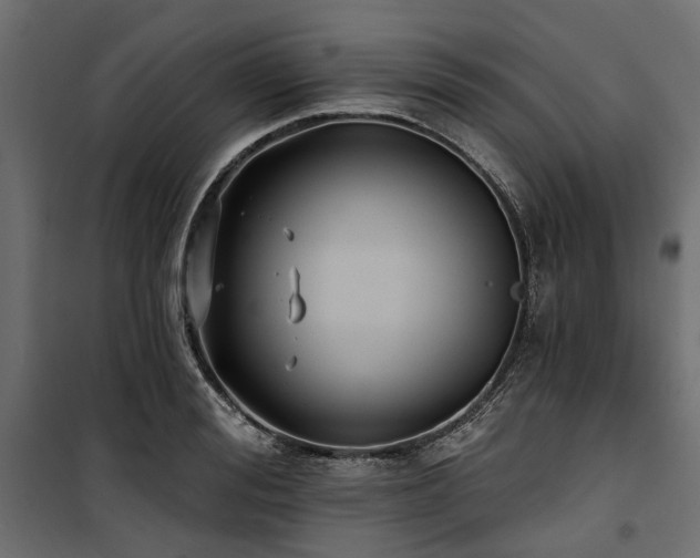 X0000100870988200806201236