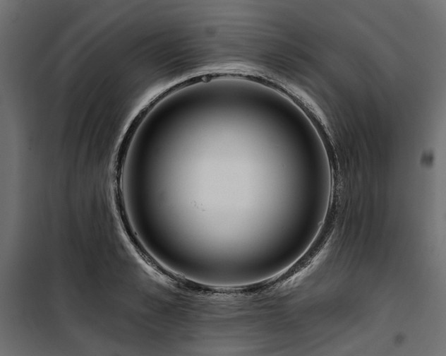 X0000100870989200806201236