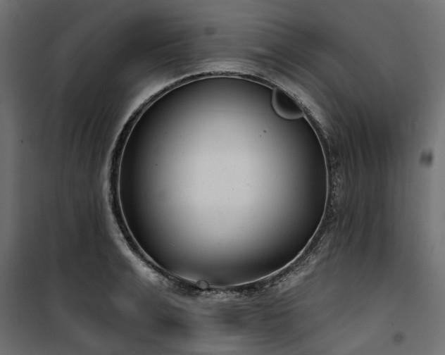X0000100870991200806201236