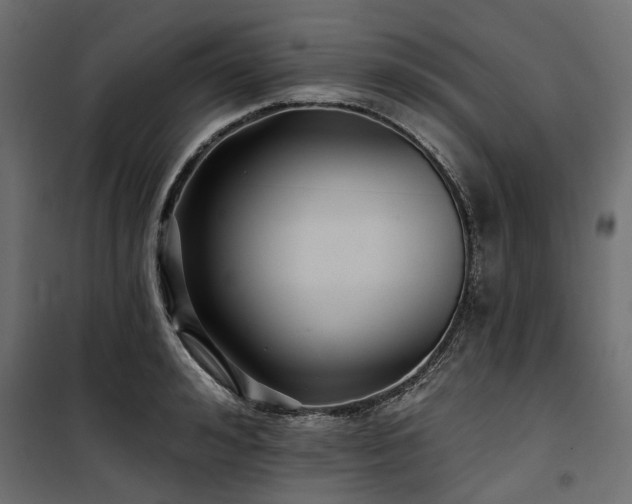X0000100870992200806201236