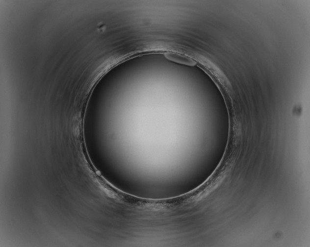 X0000100870993200806201236