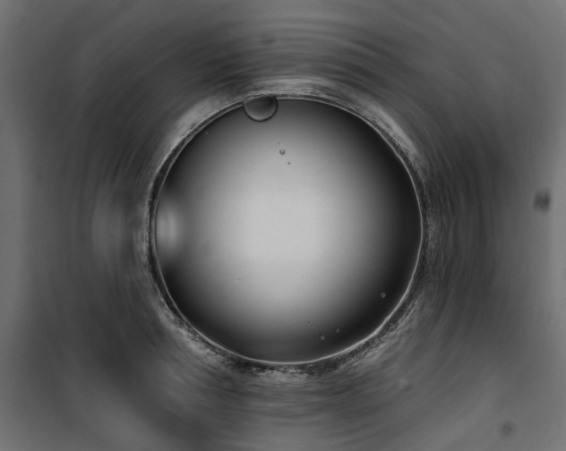 X0000100870994200806201236