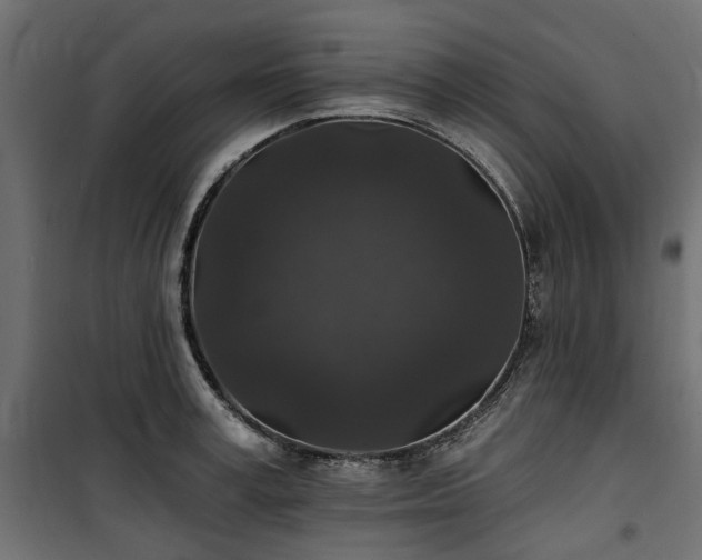 X0000100870995200806201236
