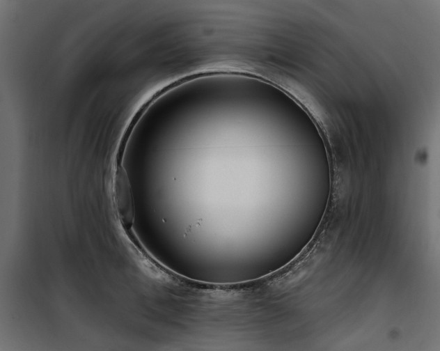 X0000100870996200806201236