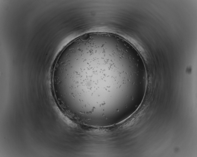 X0000100870998200806201236