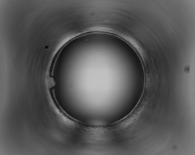 X0000100870999200806201236