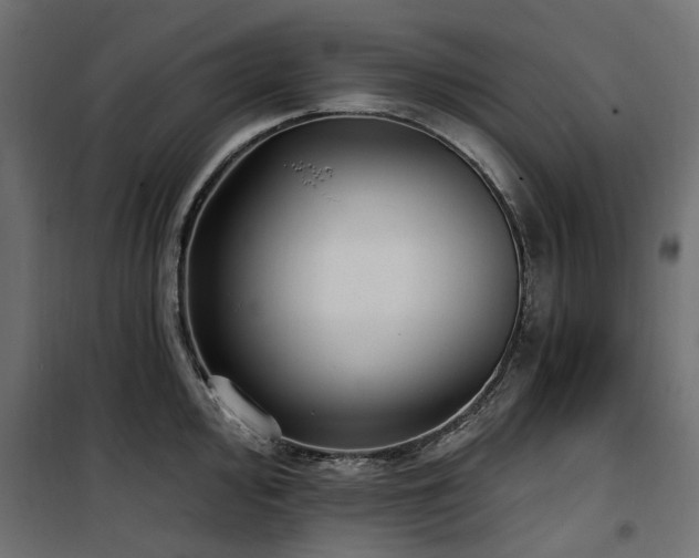 X0000100871000200806201236