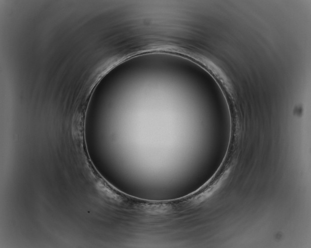 X0000100871001200806201236