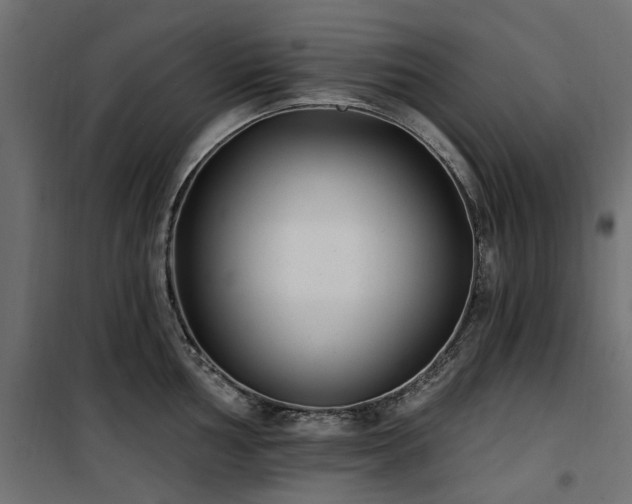 X0000100871002200806201236
