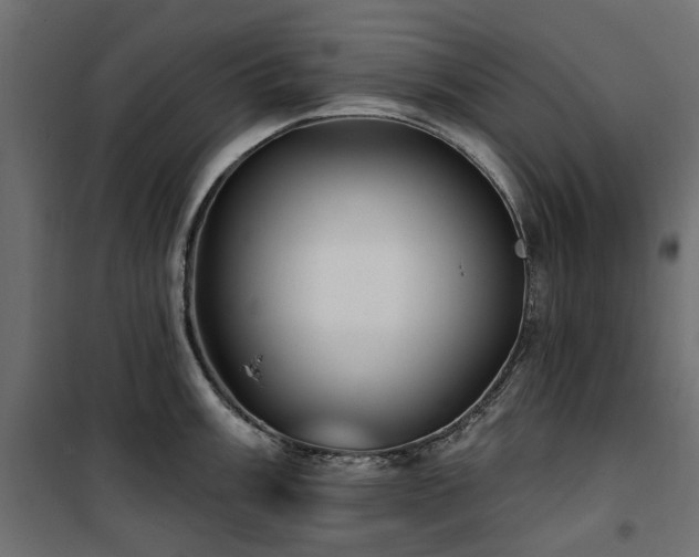 X0000100871003200806201236