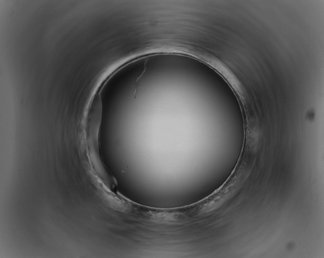 X0000100871004200806201236