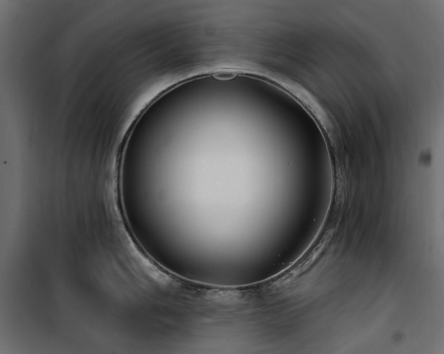 X0000100871006200806201236