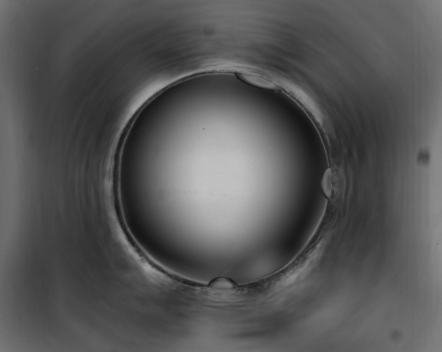X0000100871007200806201236
