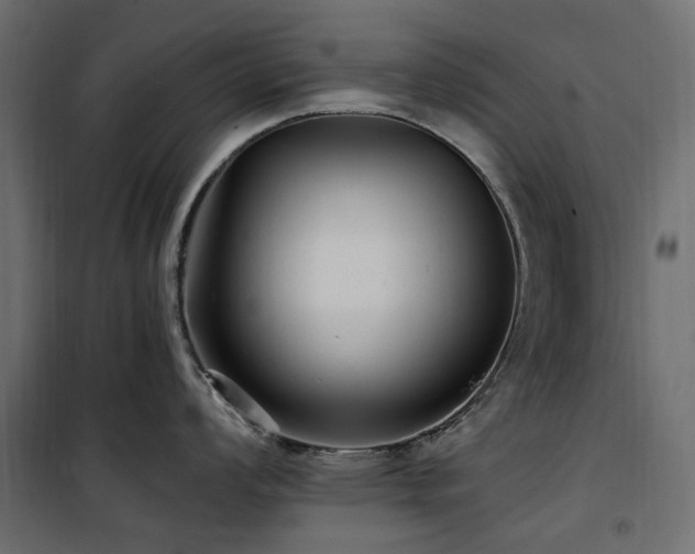 X0000100871008200806201236
