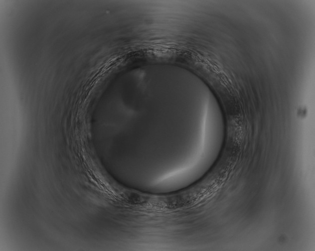 X0000100871009200806201235