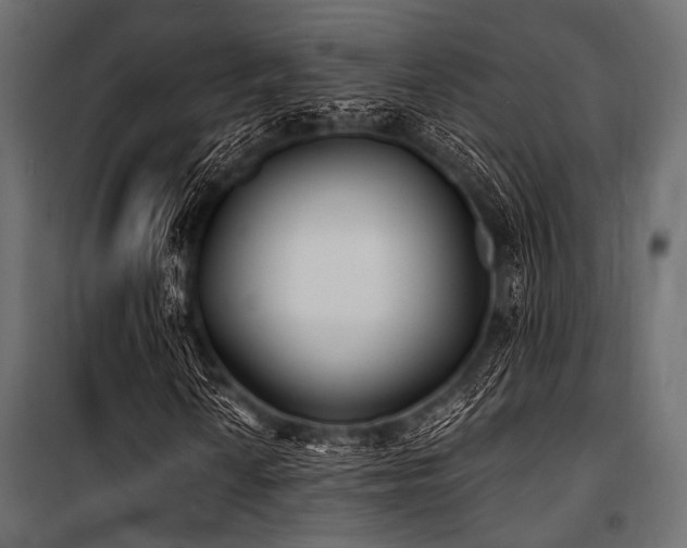 X0000100871010200806201235