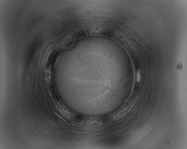 X0000100871011200806201235
