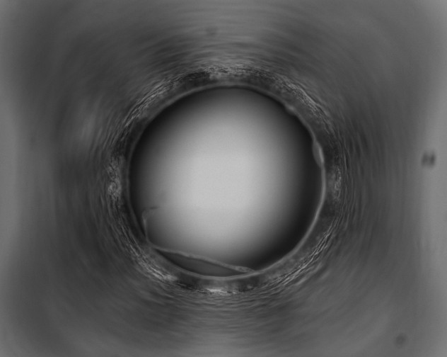 X0000100871012200806201235