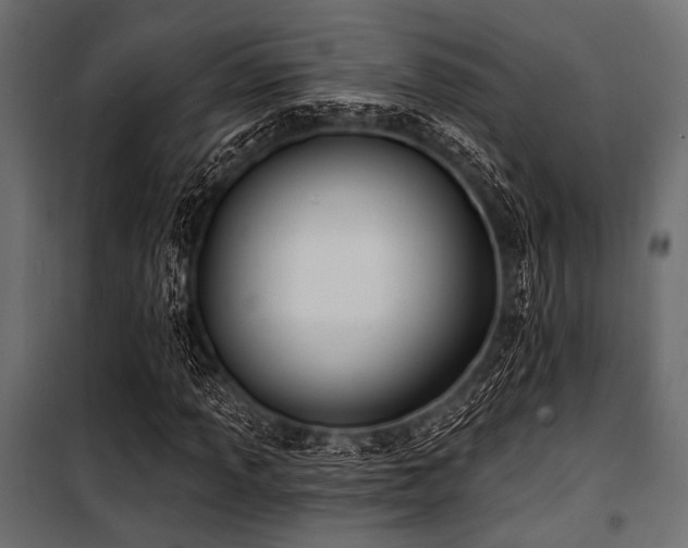 X0000100871013200806201235