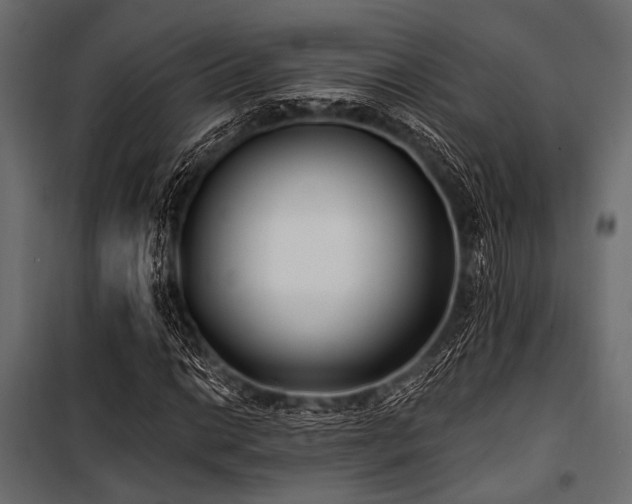 X0000100871014200806201235