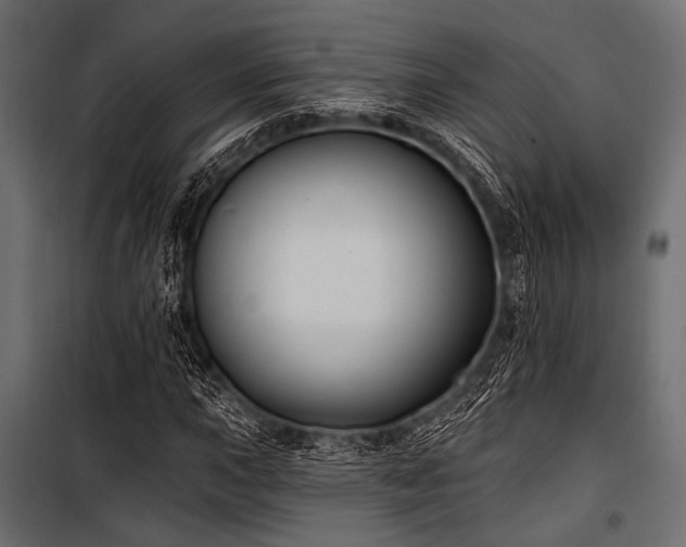 X0000100871015200806201235