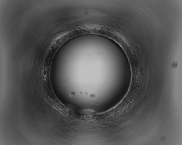 X0000100871016200806201235