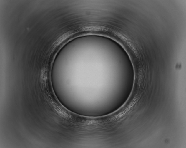 X0000100871017200806201235