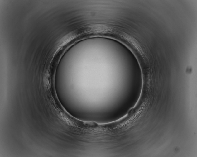 X0000100871018200806201235