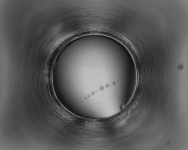 X0000100871019200806201235