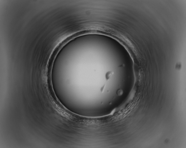 X0000100871020200806201235