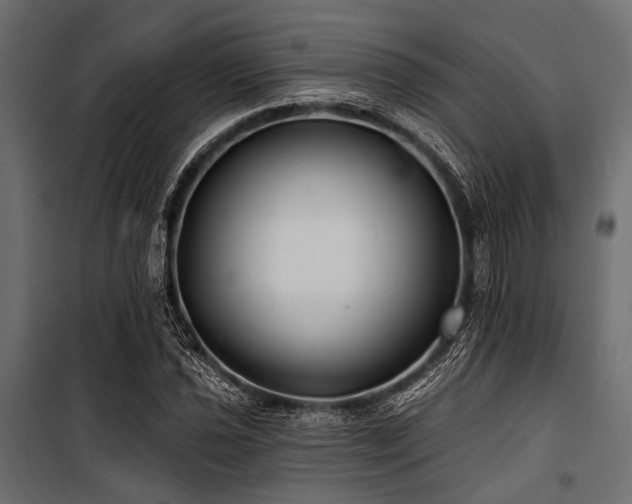 X0000100871021200806201235